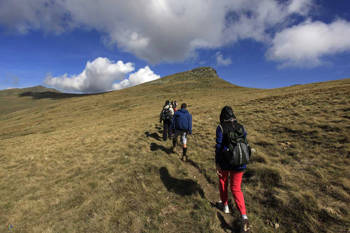 A group of people in sporty clothes hike on the side of a hill